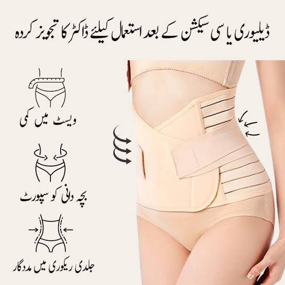 C Section Belt (098)