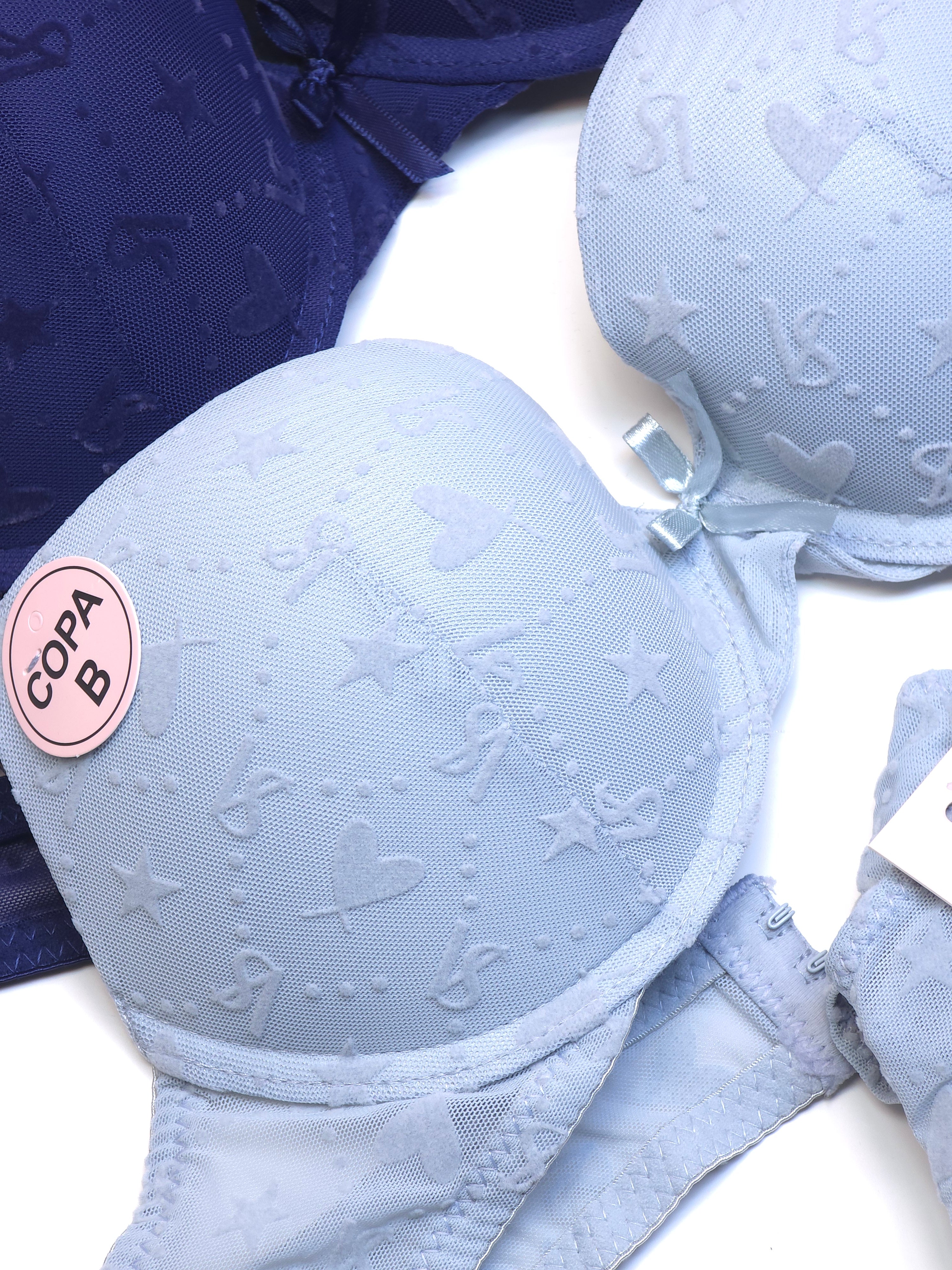 (34-40)b (Blue & Light Grey)Elegant Design Padded Pushup Wired Bra With Matching Thong Underwear 5015(154))
